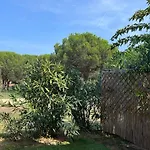 Caesar Domus-7 Saint-Tropez